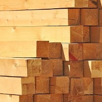 Stacks of Lumber